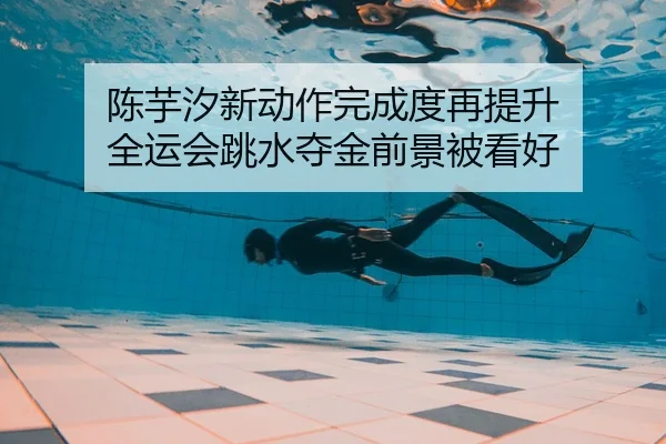 陈芋汐新动作完成度再提升 全运会跳水夺金前景被看好